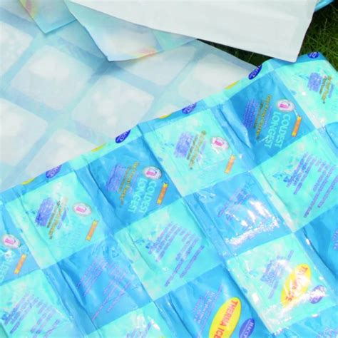 Hydrated Ice Sheet - 24 Cells Hydrated Ice Sheet Manufacturer from ...