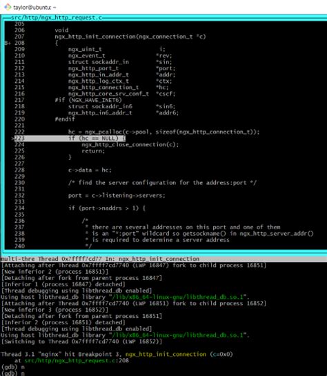 Image result for Nginx with Custom Code