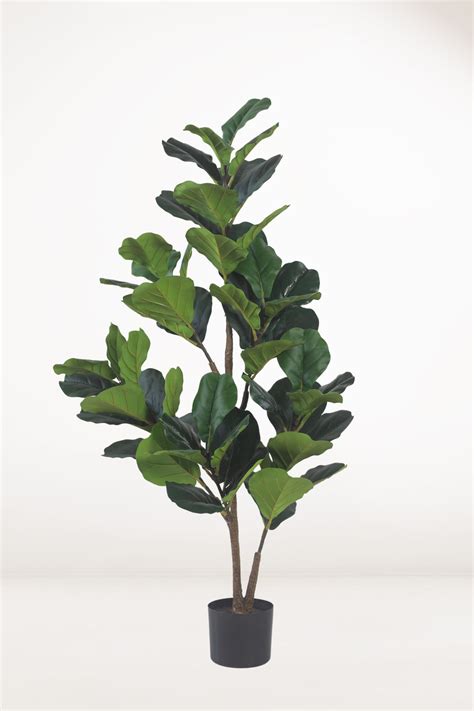 Faux Fiddle Leaf Fig – Bloomspace