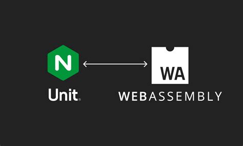 Image result for Nginx with Custom Code