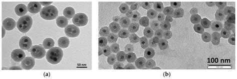 Hybrid Nanostructured Magnetite Nanoparticles: From Bio-Detection and ...