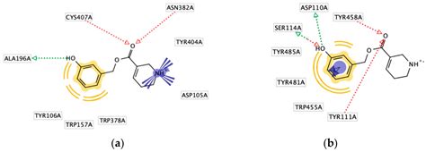Synthesis, Biological Evaluation, and Docking Studies of Antagonistic ...