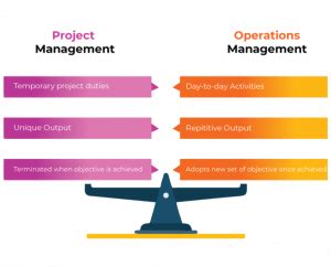 Image result for Operations Management vs Project Management