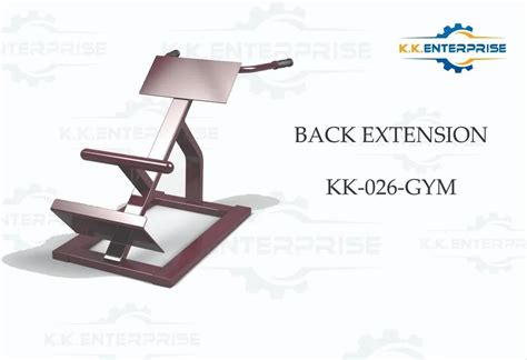 Image result for Back Strength Machine