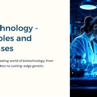 PPT Biotechnology - Principle and Processes - Biology Class 12 - NEET PDF