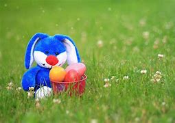 Image result for Bunny Gifts