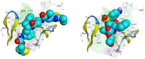 Discovery of Novel HIV Protease Inhibitors Using Modern Computational Techniques