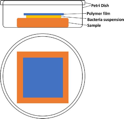 Image result for Total Plate Count Method Animation