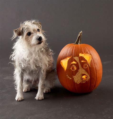 Dog Pumpkin Stencil