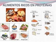 alimentos ricos proteinas proteinas alimentos ricos proteinas proteinas