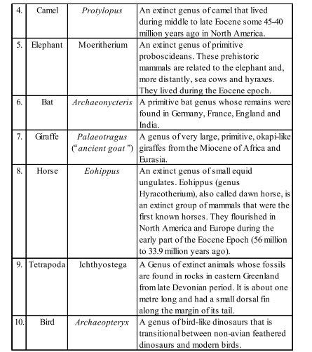 Evolution Level Class 7 的图像结果