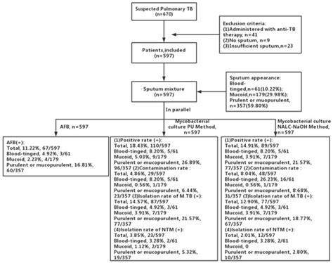 JCM | Special Issue : Tuberculosis: Clinical and Laboratory Updates and ...