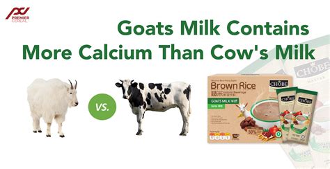 Goats Milk More Calcium Than Cow's Milk – Chobe E-Store