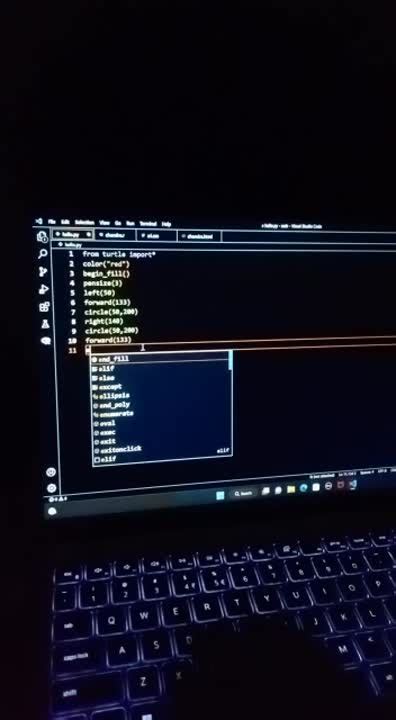 Python Turtle Module Learning 的图像结果