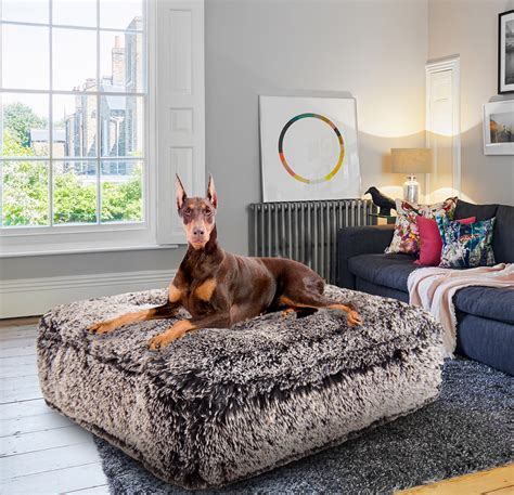 Luxury Sofa Beds For Dogs at Kathryn Edmondson blog