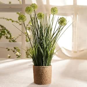 Buy PURE HOME + LIVING Green Artificial Onion Flower with Rattan Basket ...