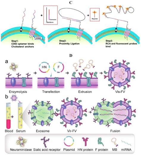 Recent Advances in Detection for Breast-Cancer-Derived Exosomes
