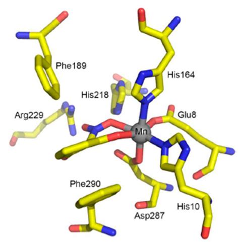 Carboxylation of Hydroxyaromatic Compounds with HCO3− by Enzyme ...