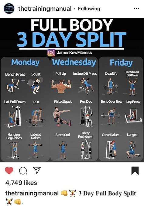 Gym Workout 的图像结果