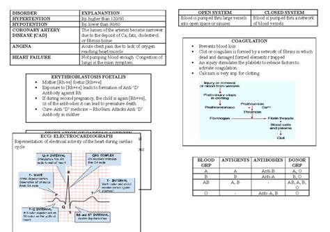 Heart - notes on the lesson body fluids and circulation - DISORDER ...