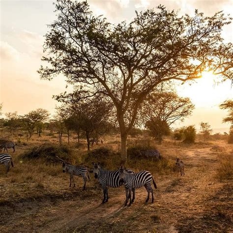 Caldera Safaris (Queen Elizabeth National Park) - All You Need to Know ...