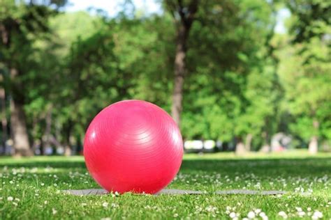 Exercise Tools 的图像结果