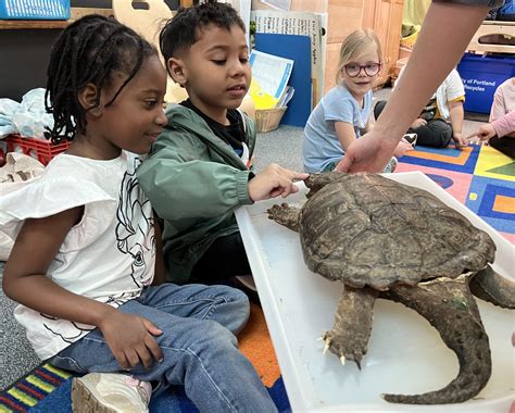 Three FPPS Grant Opportunities Now Available!