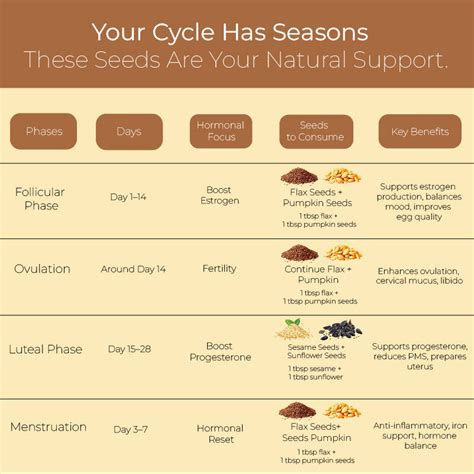 What is Seed Cycling? / Seed Cycling Chart – Vedikroots