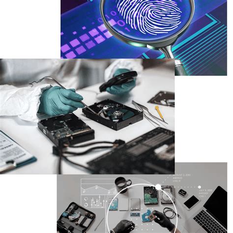 What Does a Computer Forensics Analyst Do 的图像结果