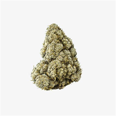 Durban Poison Strain Review | NuggMD