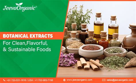 Botanical Extracts for Foods as Natural Alternatives to Synthetic Ingr