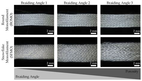 Effect of Collagen Coating and Fiber Profile on Tenocyte Growth on ...