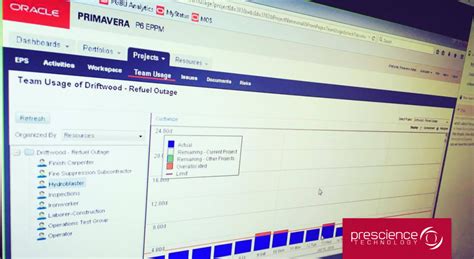 Image result for Programa Primavera P6