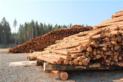 木材交易市场需要什么手续？明确四点即可_行业资讯_木头云