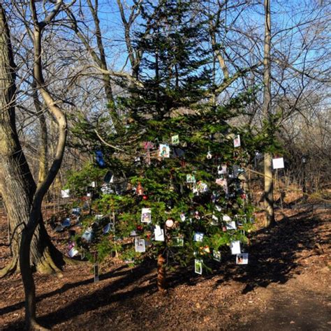 The Furry Friends’ Memorial Tree