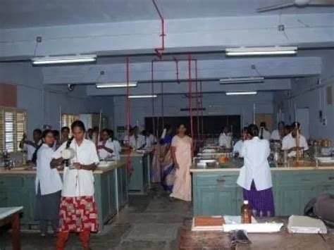 MV Muthiah Government Arts College for Women Dindigul Campus: Photos ...