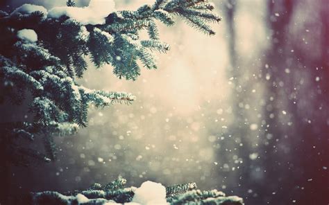 Christmas Snow Background 的图像结果