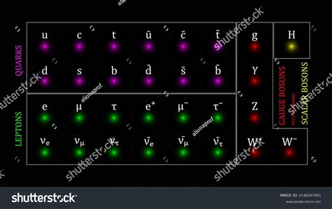 Standard Model 的图像结果