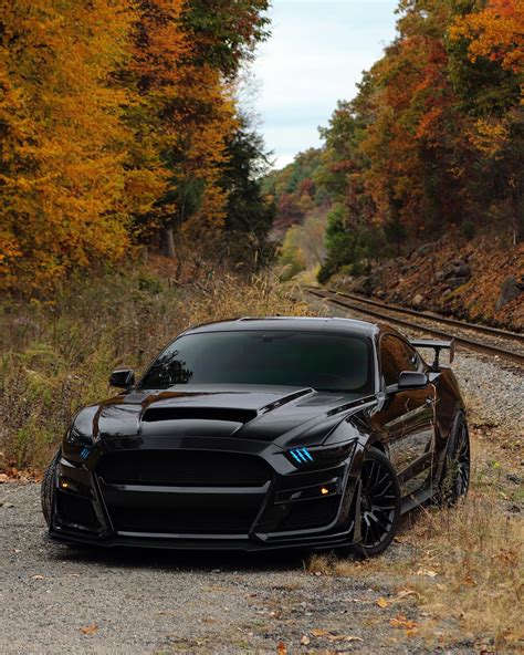 Stangster (@stangster_) • Instagram photos and videos