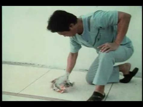 Dynamo Jack 的图像结果