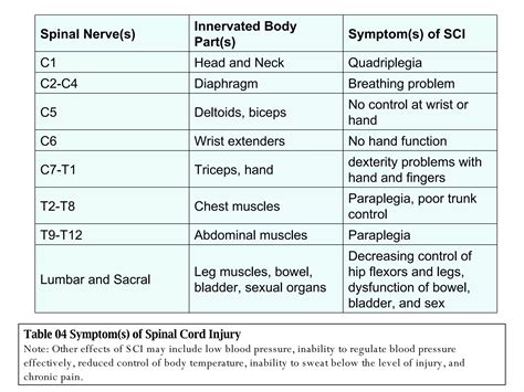 Image result for Nervous System Introduction