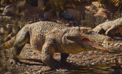 New Species of 237-Million-Year-Old Crocodile-Like Predator Discovered ...