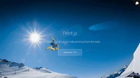 Image result for Print Size JavaScript