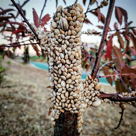 Image result for Array Iteration