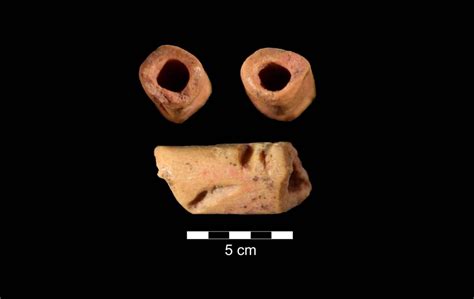 A 13,000-year-old bell was discovered in America