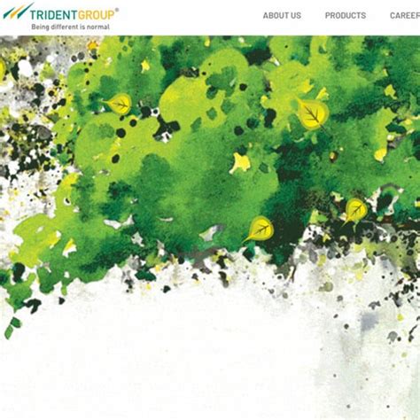 Trident Ltd reports 126% profit increase in FY25 Q4 - FashionNetwork India