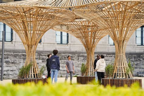 What Not to Miss at Dutch Design Week 2024: Biobased and Circular Materials - MaterialDistrict