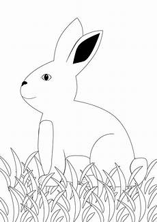 ausmalbild hase winter ausmalbild hase feldhase kostenlose malvorlagen ausmalbild hase winter ausmalbild hase feldhase kostenlose malvorlagen