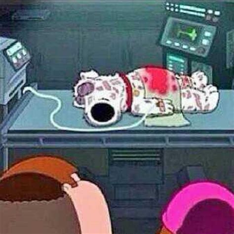 Brian Griffin Death Meme