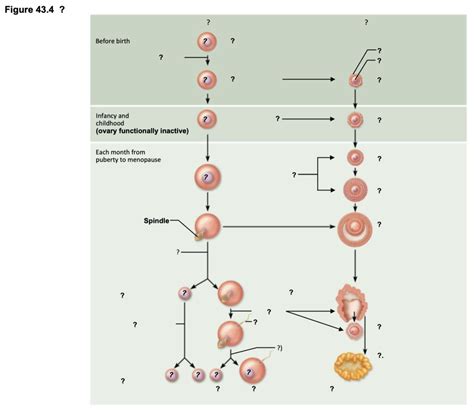 Rezultat imagine pentru Code Lesson 10 Part 14